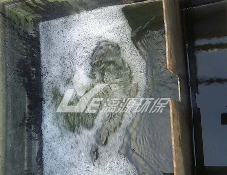 涂料化工廢水處理的生物法有哪些？