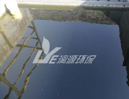 化工污水處理的污泥脫水技術(shù)有哪些？