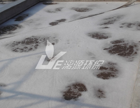 工業(yè)污水處理現(xiàn)代的處理技術(shù)有哪些？
