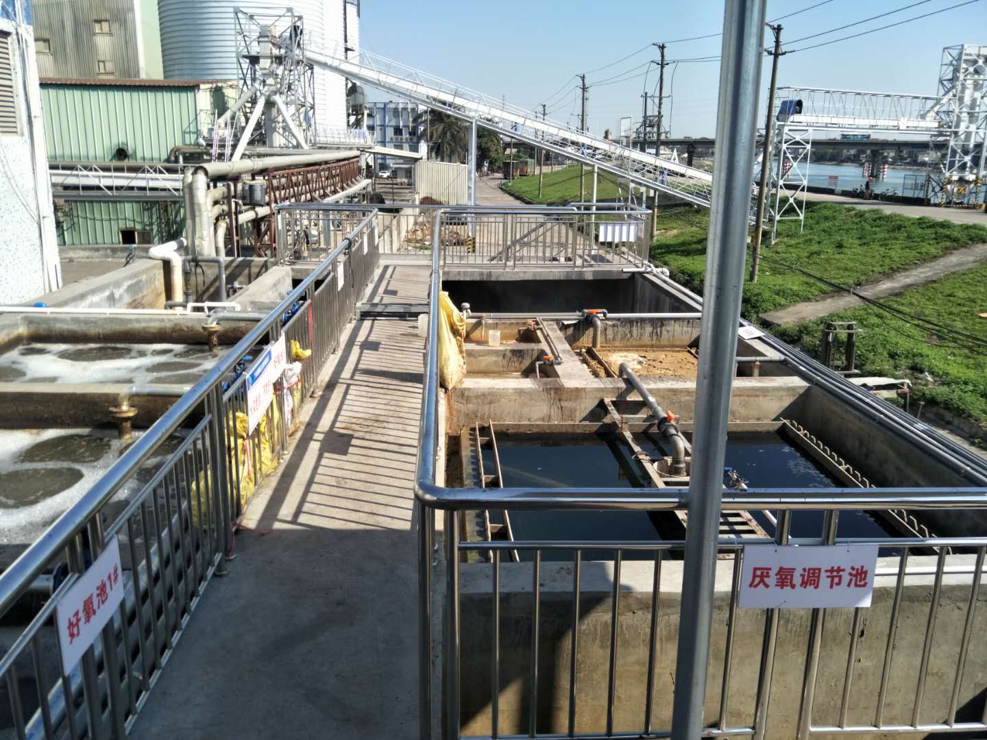 食品廢水植物處理技術(shù)，你知道嗎？